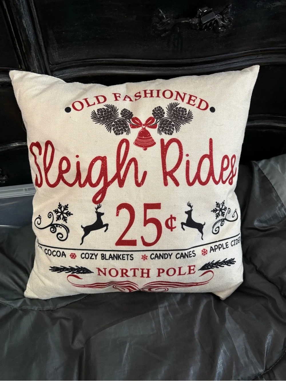 Sleigh Ride  Square pillow.